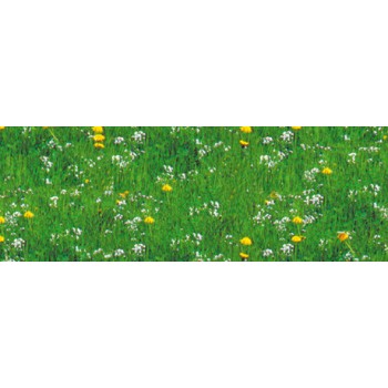 Motiv-Fotokarton Wiese (L)