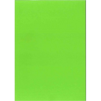 Kopierpapier A4 160gr. grün...