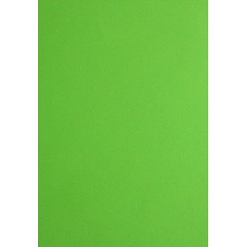 Tonkarton 220gm2, 50x70cm grün
